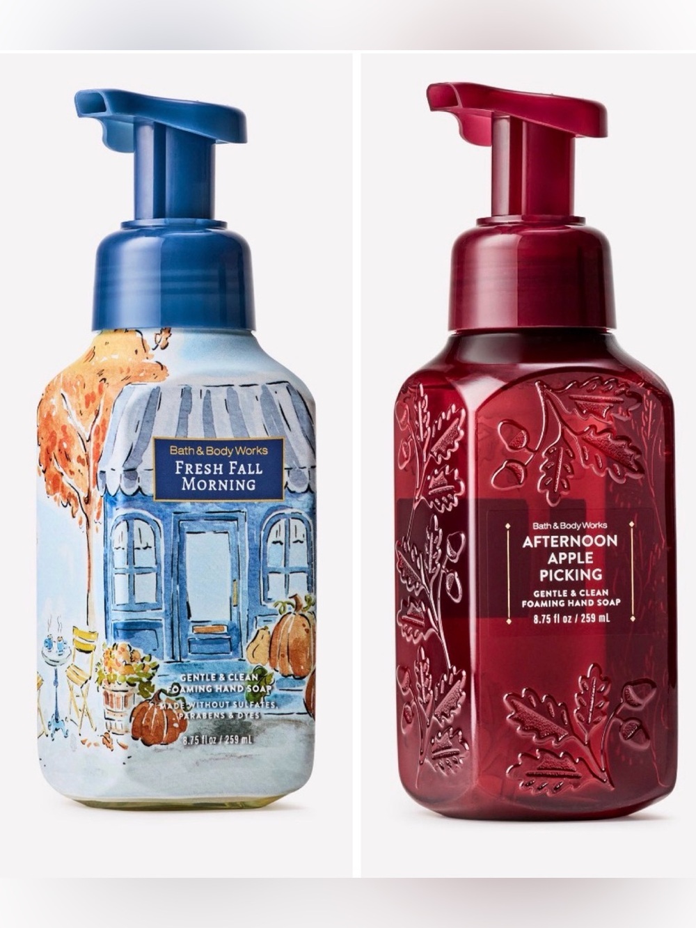 Bath & Body Works NWT (R $18) Hand Soap Duo